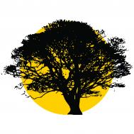 BLACKWOOD ACCOUNTING SOLUTIONS LTD