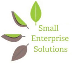 Small Enterprise Solutions