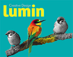 Lumin Creative Design