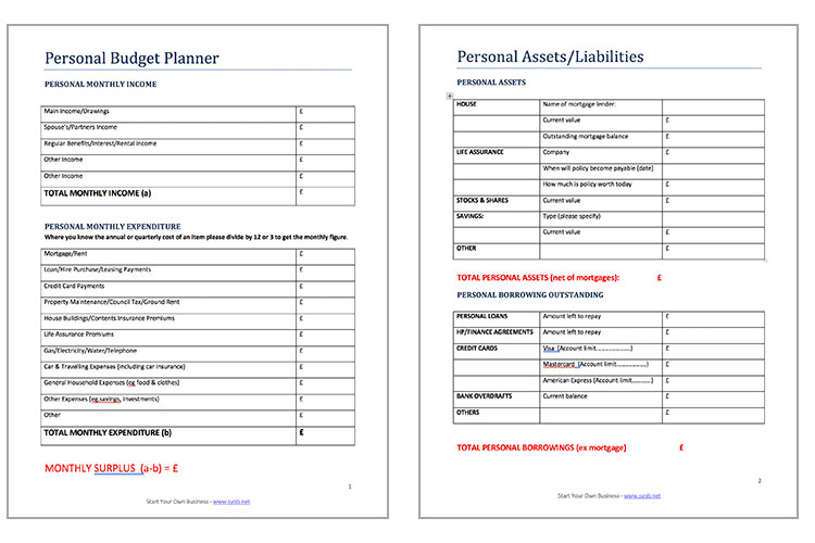 Free Business Survival Budget Template